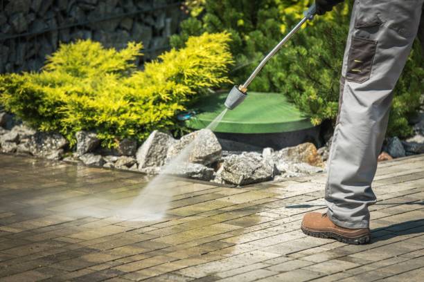 Best Solar Panel Cleaning  in Hudson, IL
