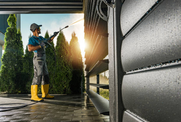 Best Rust Removal  in Hudson, IL