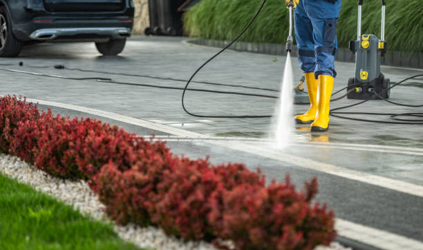 Best Fence Cleaning  in Hudson, IL